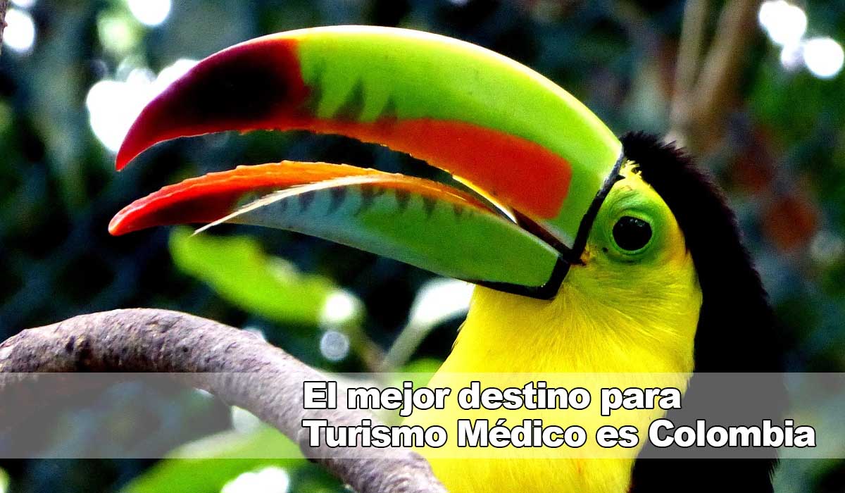 Tratamientos láser: Turismo Médico en Colombia con la Clínica Obesidad y Envejecimiento